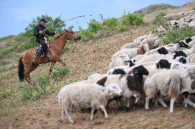 Nomadic Life in Inner Mongolia's Horqin Grassland - China