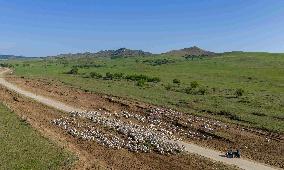 Nomadic Life in Inner Mongolia's Horqin Grassland - China