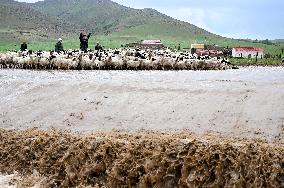 Nomadic Life in Inner Mongolia's Horqin Grassland - China