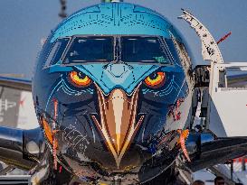 Paris Air Show - Le Bourget