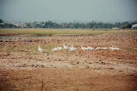 Pakistan Heat Strains Water Resources - Pakistan