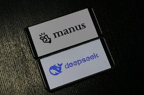 DEEPSEEK MANUS