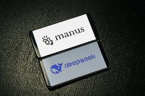 DEEPSEEK MANUS