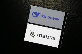 DEEPSEEK MANUS