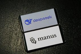 DEEPSEEK MANUS
