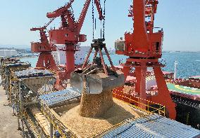 China Purchases Brazilian Soybeans