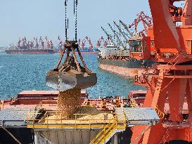China Purchases Brazilian Soybeans