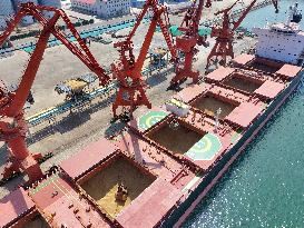 China Purchases Brazilian Soybeans