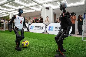 Beijing Economic-Technological Development Area - China