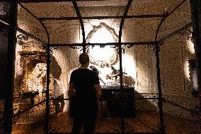 Art Zoo Museum - Amsterdam