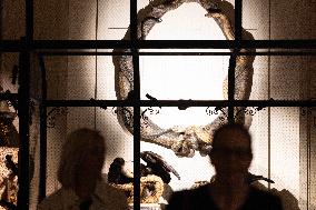 Art Zoo Museum - Amsterdam