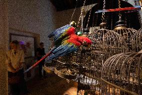 Art Zoo Museum - Amsterdam