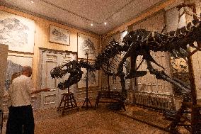 Art Zoo Museum - Amsterdam
