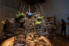 Art Zoo Museum - Amsterdam