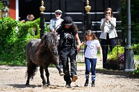 PRINCESS ADRIENNE CHRISTENING GIFT BLEKINGE