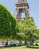 Heatwave Illustration - Paris