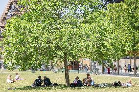 Heatwave Illustration - Paris