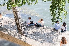 Heatwave Illustration - Paris