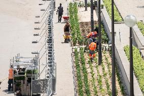 Heatwave Illustration - Paris