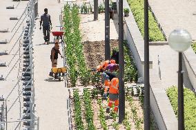 Heatwave Illustration - Paris