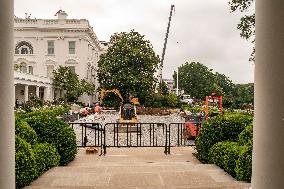 Workers Reconstruct the Rose Garden to Pavement at the White House