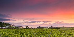 Illustration - Bordeaux