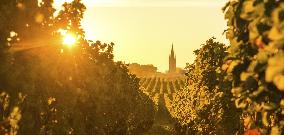 Illustration - Bordeaux