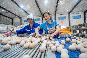 Laying Hens Intelligent Ecological Breeding