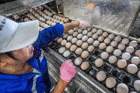 Laying Hens Intelligent Ecological Breeding