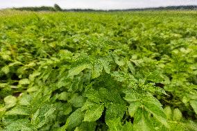 LÃµhmuse organic farm