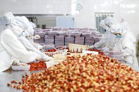 Crayfish Farming Export