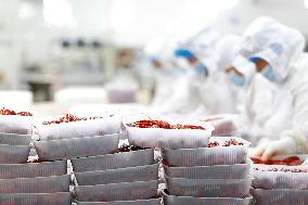 Crayfish Farming Export
