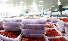 Crayfish Farming Export
