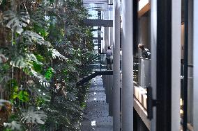 The European Parliament in Strasbourg during the parliamentary session