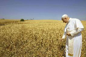Pope Leo XIV In A Wheat Field Near Rome