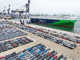 World Largest Car Carrier