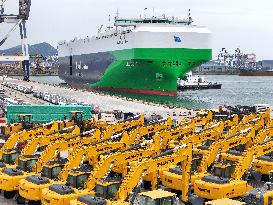 World Largest Car Carrier