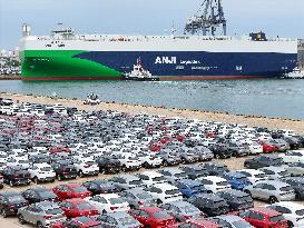 World Largest Car Carrier