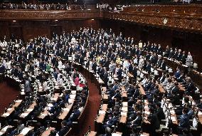 Lower house passes gasoline tax bill