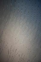 The Olympic Cauldron  at the Tuileries Garden - Paris