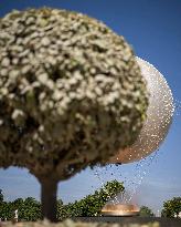The Olympic Cauldron  at the Tuileries Garden - Paris