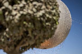 The Olympic Cauldron  at the Tuileries Garden - Paris