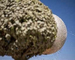 The Olympic Cauldron  at the Tuileries Garden - Paris