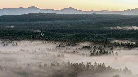 Saihanba National Forest Park Scenery - China