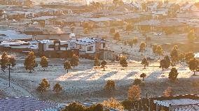 Winter View In Canberra - Australia