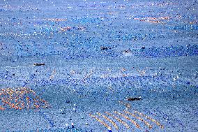 The Hometown of Abalone in China