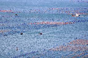 The Hometown of Abalone in China