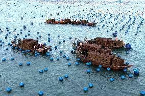 The Hometown of Abalone in China