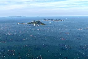 The Hometown of Abalone in China