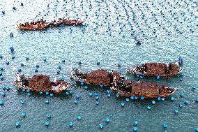 The Hometown of Abalone in China